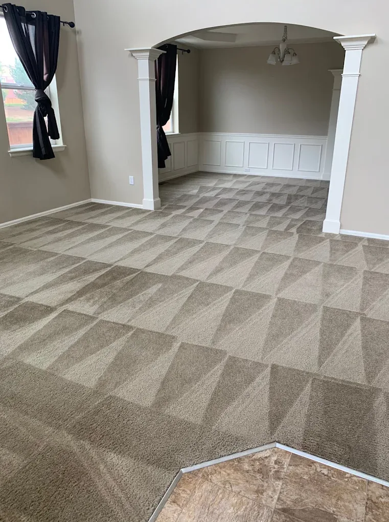 Cleaning Services in Denver