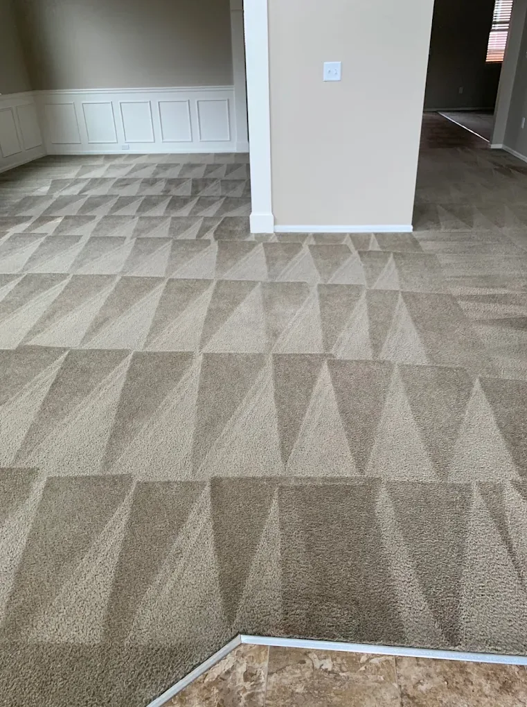 Freshly cleaned carpet in a Denver home